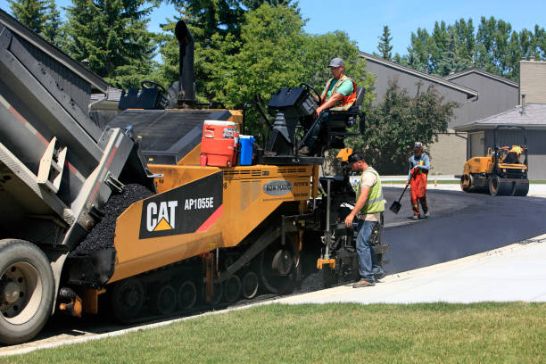 Best Interlocking Driveway Pavers in Oral City, FL